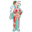 Слика на The Human Body - Book and Shaped Puzzle (Travel, Learn and Explore)