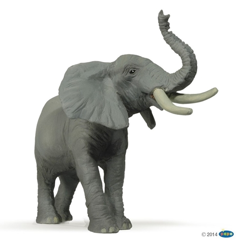 Слика на Слон што труби