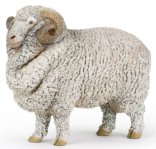 Слика на Мерино овца
