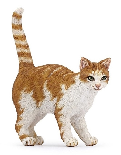Слика на Мачка - кафено-бела
