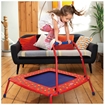 Picture of Folding Trampoline
