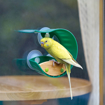 Слика на Прозорска хранилка за птици - Hape Toys
