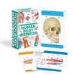 Слика на Human Body Flash Cards