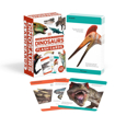 Слика на Dinosaurs and Other Prehistoric Creatures Flash Cards