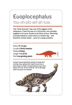 Слика на Dinosaurs and Other Prehistoric Creatures Flash Cards