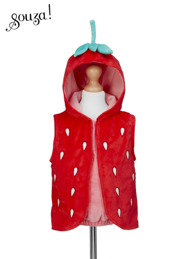 Слика на Костим ЈАГОТКАТА СТЕЛА (2 години) - Souza