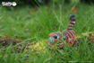 Слика на EUGY Tiger, Тигар 3D Сложувалка - EUGY