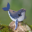 Слика на EUGY  Humpback Whale, Грбав кит 3D Сложувалка - EUGY