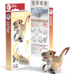 Слика на EUGY Velocirapto, 3D Сложувалка - EUGY