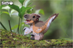 Слика на EUGY Velocirapto, 3D Сложувалка - EUGY