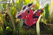 Слика на EUGY Red Dragon, Црвен Змеј 3D Сложувалка - EUGY