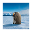Слика на EUGY Emperor Penguin, Кралски пингвин 3D Сложувалка - EUGY