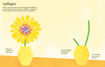 Слика на Fingerprint Activities Art