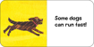 Слика на World of Eric Carle: 12 Animal Board Books