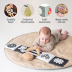 Слика на Двострана сензорна книга со меко плишано мече - Taf Toys