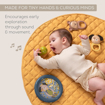 Слика на Музички сет за бебиња  – Taf Toys